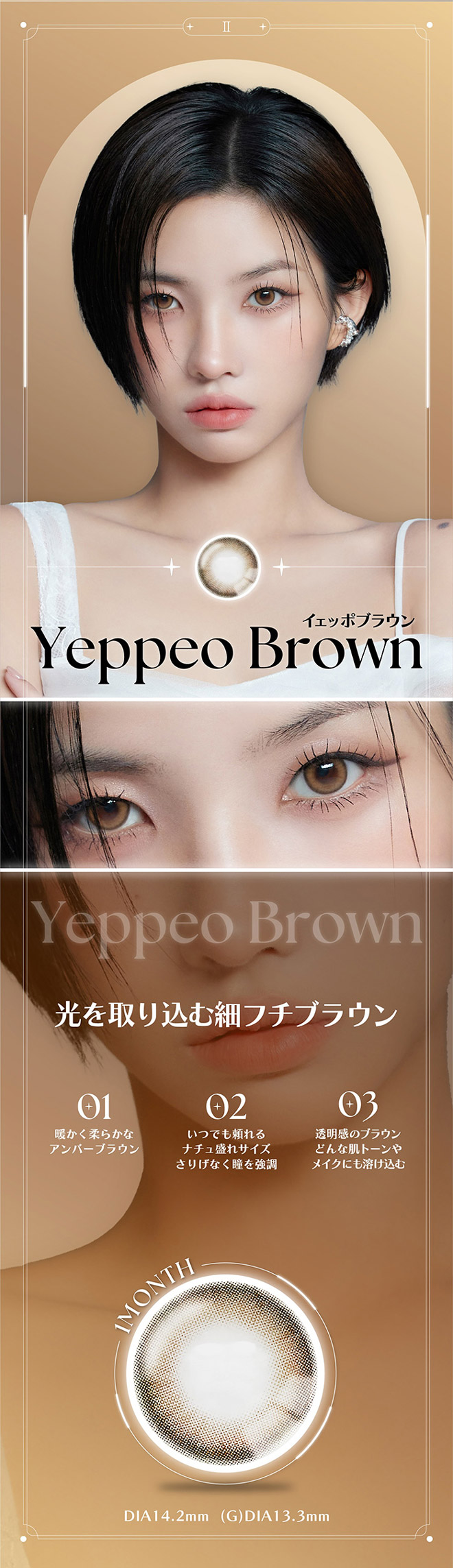 アンジェリーク イェッポブラウン 2枚入 SOYEON(ソヨン)