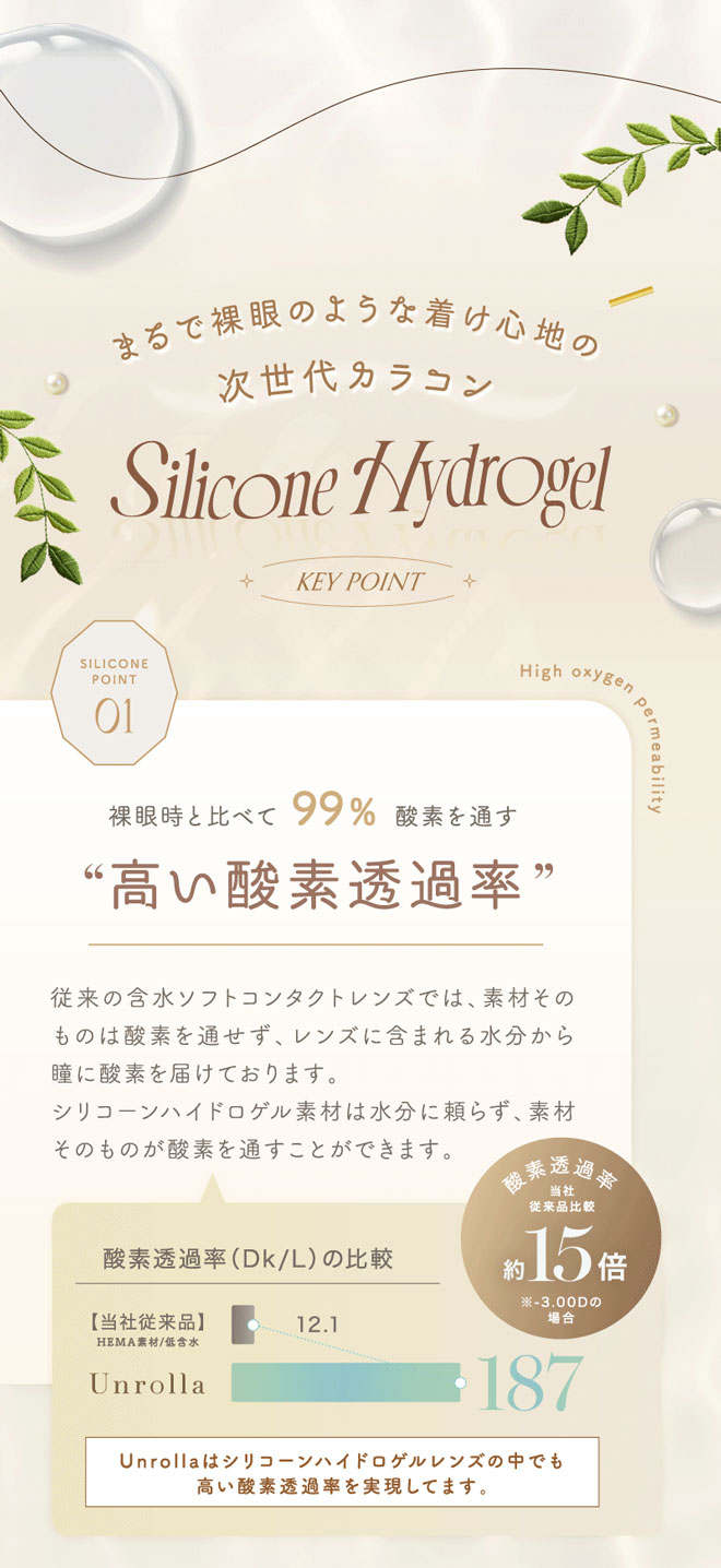 アンローラ ルナングレー 10枚入 坂巻有紗