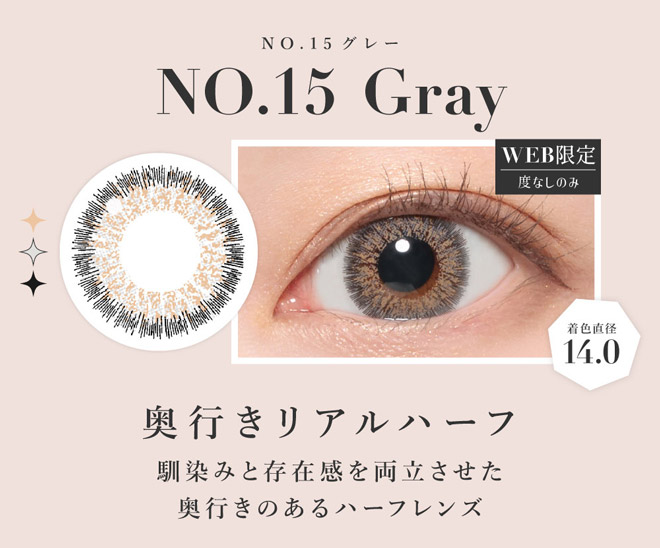 シークレットキャンディーマジックワンマンス NO.15グレー 度なし1枚入 板野友美(ともちん)