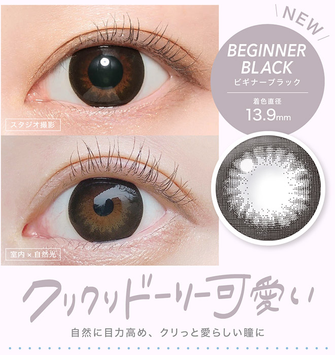 キャンディーマジックワンマンス BLB デートブラウン 1枚入 CandyMagic1month BLB