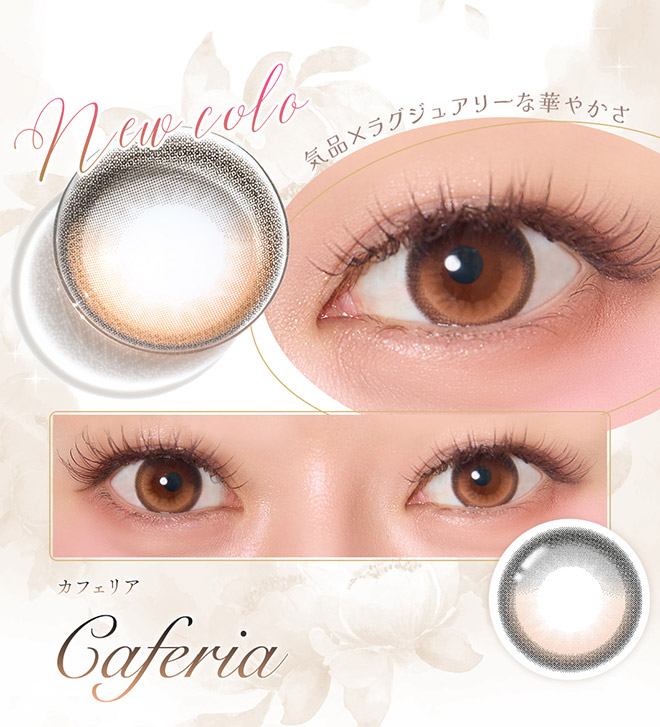 フェレーヌワンデー カフェリア 10枚入 まりな